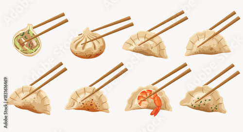 Dumplings with chopsticks, various fillings, food