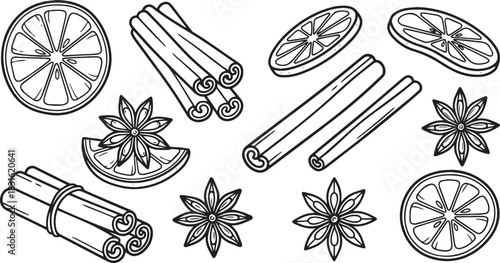 Dried Christmas citrus slices and cinnamon spices, rustic holiday botanical vector line art