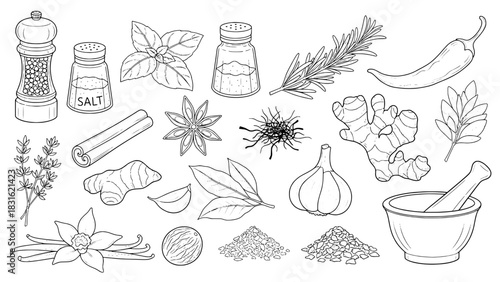 Detailed Black Outline Collection of 21 Culinary Spices, Herbs, and Kitchen Seasoning Tools