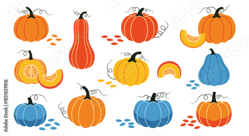 Collection of colorful autumn pumpkins and squashes in various shapes and colors for fall harvest or Thanksgiving design.