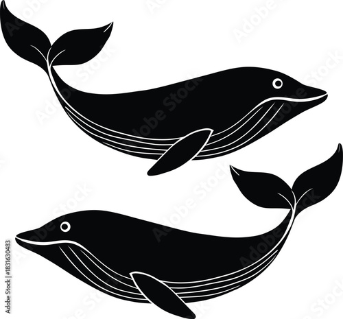 Two black whales with white outlines swimming on a white background marine life ocean