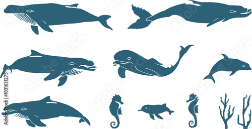 A collection of stylized illustrations showcases various marine creatures, including whales, dolphins, and seahorses, in a simple, artistic design.