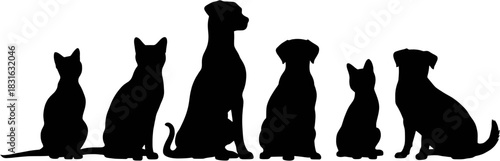 A silhouette image shows several cats and dogs of various sizes and breeds, representing the diversity of pets and companionship.