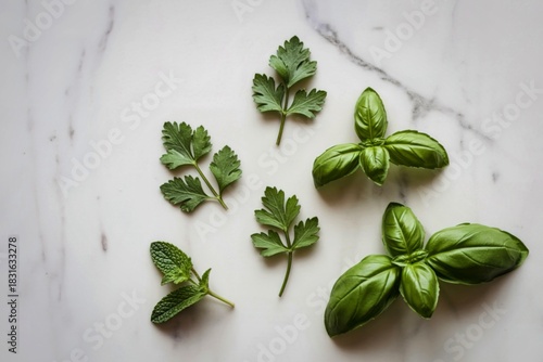 Fresh green basil and parsley leaves on white marble surface