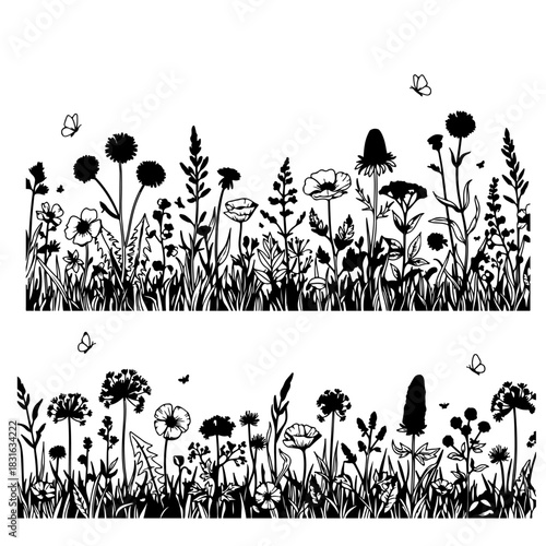 Black silhouettes of grass, flowers and herbs