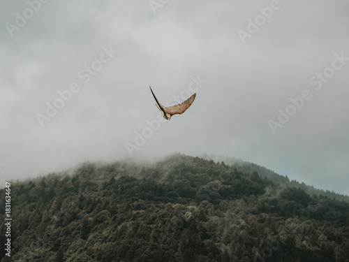 Alpine Falcon Gliding Above the Dolomiti Alps