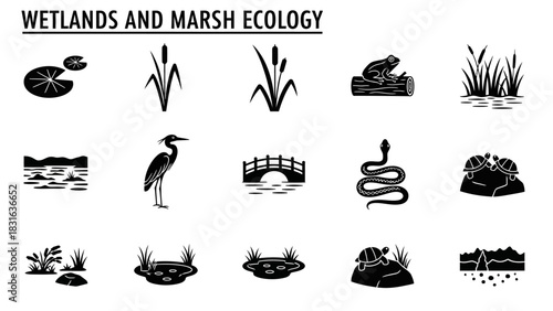 Wetlands and marsh ecology icons: plants, animals, and landscape elements.