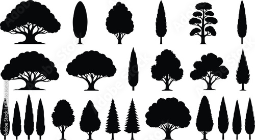 Black Silhouettes of Various Trees and Cypress in Rows on White Background evergreen deciduous