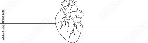 Anatomical heart with heartbeat line art illustration on white background,one line art drawing human heart vector illustration,Continuous Line Art of Human Heart with Electrocardiogram Pulse