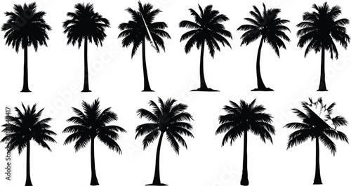 Ten Black Silhouette Palm Trees with Varied Foliage and Trunks Keywords: palm tree, tropical tree, silhouette, tree, nature, plant