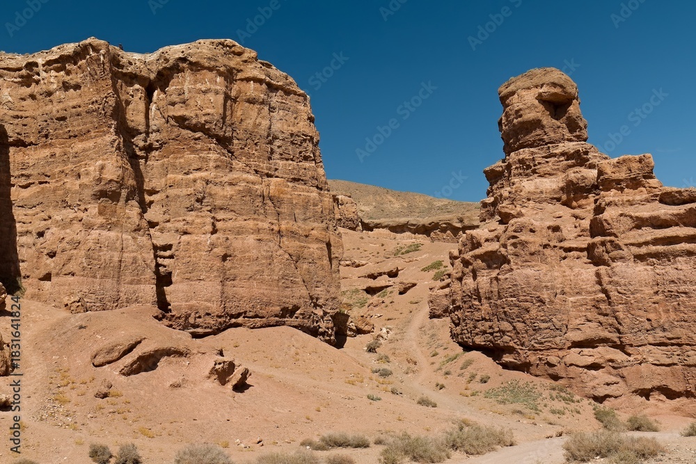 Fototapeta premium View of the Valley of Castles. Charyn Canyon National Park. Kazakhstan. Asia.