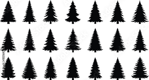 Rows of black silhouette pine trees on white background for winter or nature themes conifer evergreen