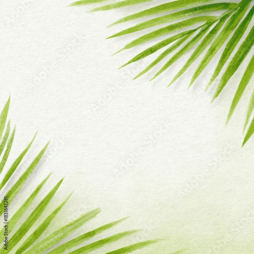Green Palm Leaves: Delicate green palm leaves, gracefully arranged against a soft, subtle backdrop. A refreshing, natural, and minimalist composition evokes feelings of tranquility.
