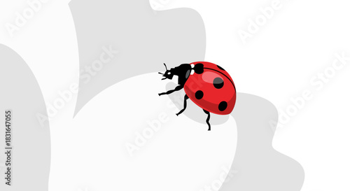 Ladybug Illustration A Detailed Red Insect on a White, Abstract Background