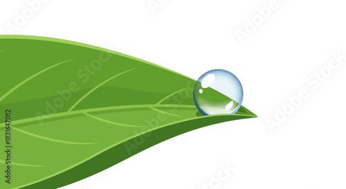 Close-up vector illustration of a pure water dewdrop on a vibrant plant leaf