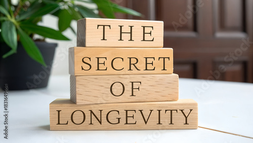 Wallpaper Mural Wooden blocks stacked to spell out the phrase the secret of longevity on a table with a plant in the background Torontodigital.ca