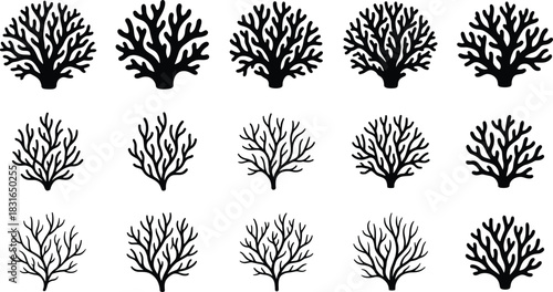 Coral Silhouette Collection Featuring Diverse Branching Patterns and Marine Shapes for Ocean-Themed Vector Design, Biology, and Nature Illustration Use
