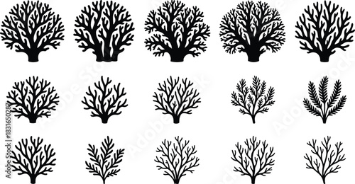 Coral Silhouette Vector Collection Featuring Diverse Marine Shapes, Branching Patterns, and Ocean-Themed Designs for Nature, Biology, and Illustration Use