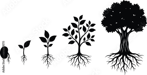 Plant Growth Silhouette Collection Showing Development from Seed to Tree with Root Expansion for Nature, Farming, and Vector Design Use