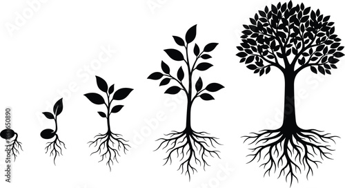 Plant Growth Silhouette Collection Showing Stages from Seed to Tree with Root Development for Nature, Farming, and Vector Design Use