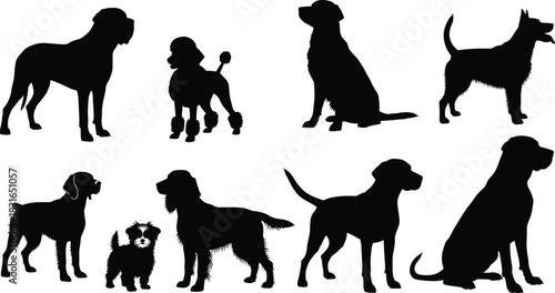 Silhouette set of dog breed icons featuring eight distinct poses and profiles for pet, veterinary, and animal-themed designs