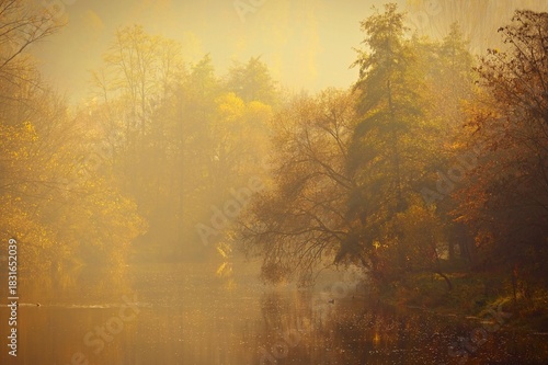 Colorful foliage in the autumn park. Concept for colorful seasonal nature background in autumn time.