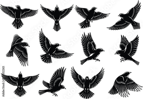 Collection of stylized black silhouette bird silhouettes in various flying poses isolated on white background