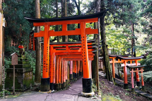 Tunnel of torii gates lining the spiritual paths of Fushimi Inari Shrine, Kyoto, Japan.

