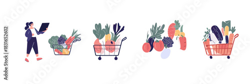 fresh organic vegetables grocery shopping baskets carrots tomatoes broccoli zucchini pea pods flat minimalist vector illustration set