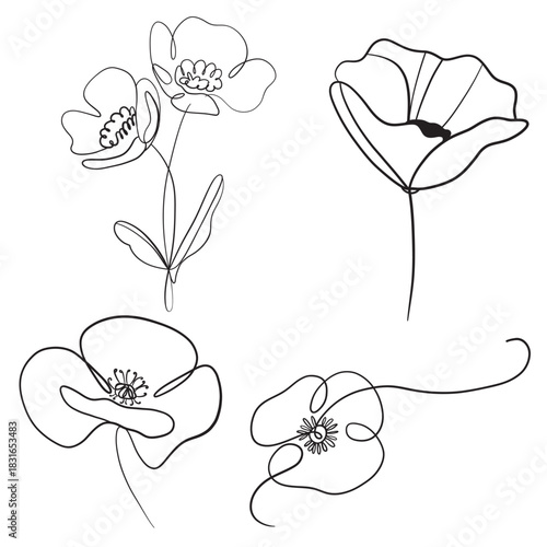 Elegant Hand drawn of flowers. Vector illustration.