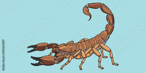 Scorpion illustration, desert wildlife, venomous creature, arachnid anatomy, cartoon style, segmented body, stinger tail, flat vector illustration