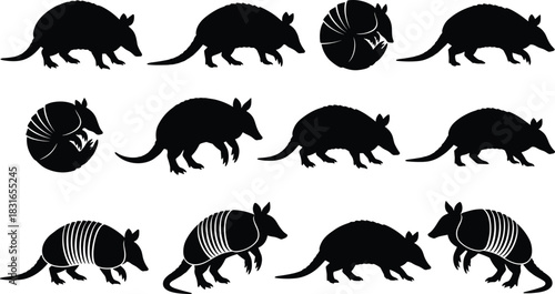 Armadillo Silhouette Collection Featuring Defensive Poses, Walking Styles, and Shell Patterns for Wildlife, Nature, and Vector Illustration Use