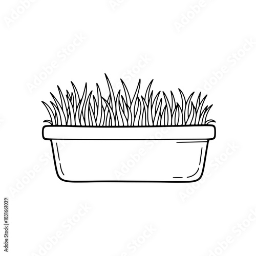 Line Art Illustration of Grass in a Rectangular Planter.