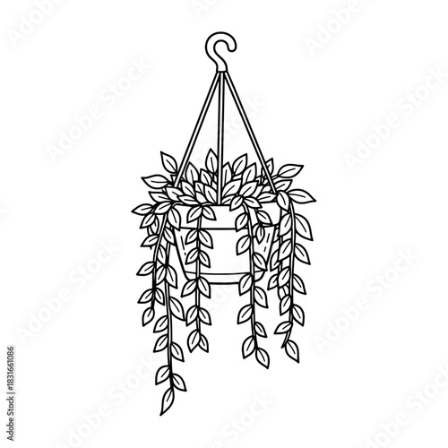 Hanging Plant Illustration Trailing Foliage in a Pot.