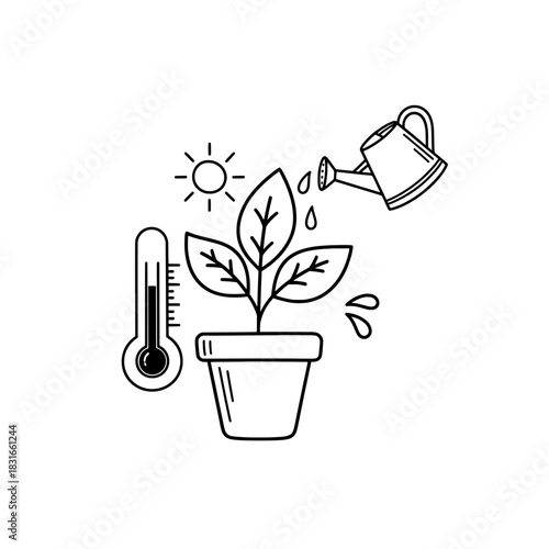 Plant Care Essentials Watering Sunlight and Temperature Control for Healthy Growth.