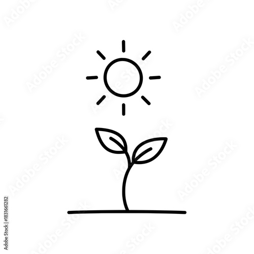 Plant Sprout Growing Under the Sun A Symbol of Growth.