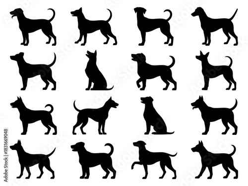 A grid of sixteen black silhouette illustrations of dogs in various poses and breeds against a white background.