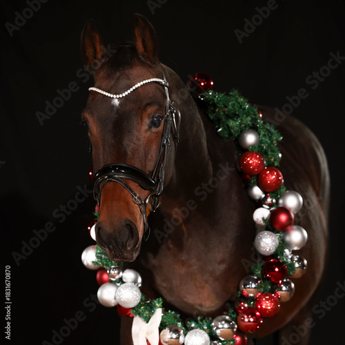 Horse portraits with Christmas decorations against a black background.