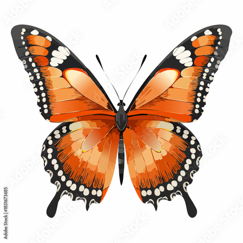Vibrant Monarch Butterfly Illustration with Detailed Wing Patterns.