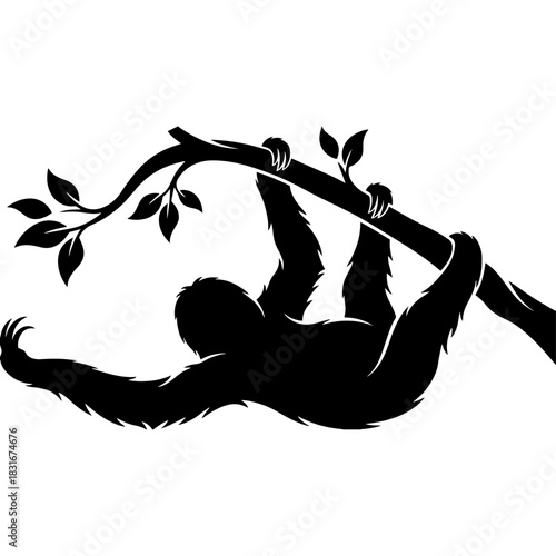 Sloth silhouette hanging from a tropical tree branch with leaves vector Vector