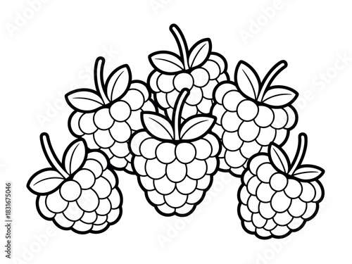 A cluster of ripe raspberries, depicted in a simple line drawing style, ready to be colored.