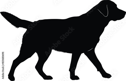 Detailed black vector silhouette of a Labrador Retriever or large domestic dog walking in profile, symbolizing loyalty, companionship, pet ownership, and animal training