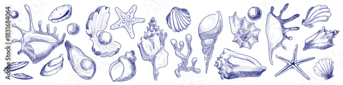 Vintage seashell sketch set with hand drawn ocean icons. Marine shell collection with starfish, scallop and conch in retro line art style. Blue nautical illustration for beach designs and branding.