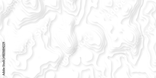 Pattern with lines the stylized height of the topographic map contour in lines and contours isolated on layers. White topography curve lines map isolated on white background