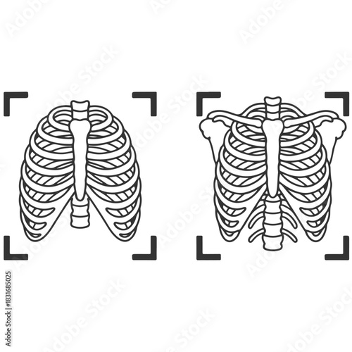 two black and white illustrations of the human skeleton