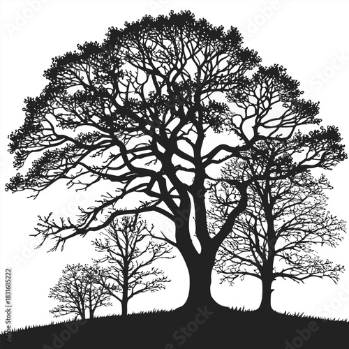 Vector illustration silhouette of a large, mature oak tree with smaller trees in the foreground