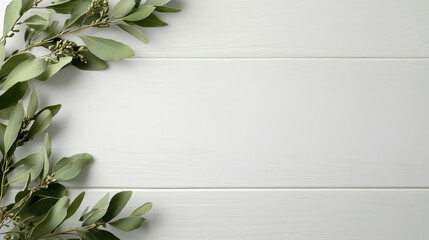 Green eucalyptus branch frame on white wooden background creating calm natural composition
