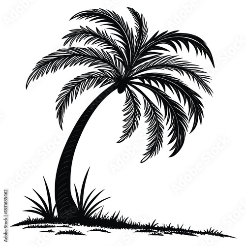 Vector illustration black and white silhouette illustration of a leaning palm tree with fronds and small grass at the base