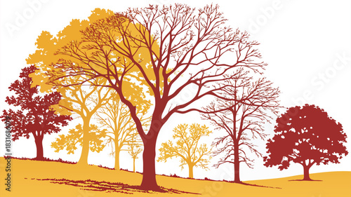 Vector illustration silhouette illustration of deciduous trees displaying autumn foliage colors like red and yellow on a