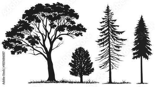 Vector illustration collection of four distinct tree silhouettes, including deciduous and coniferous types